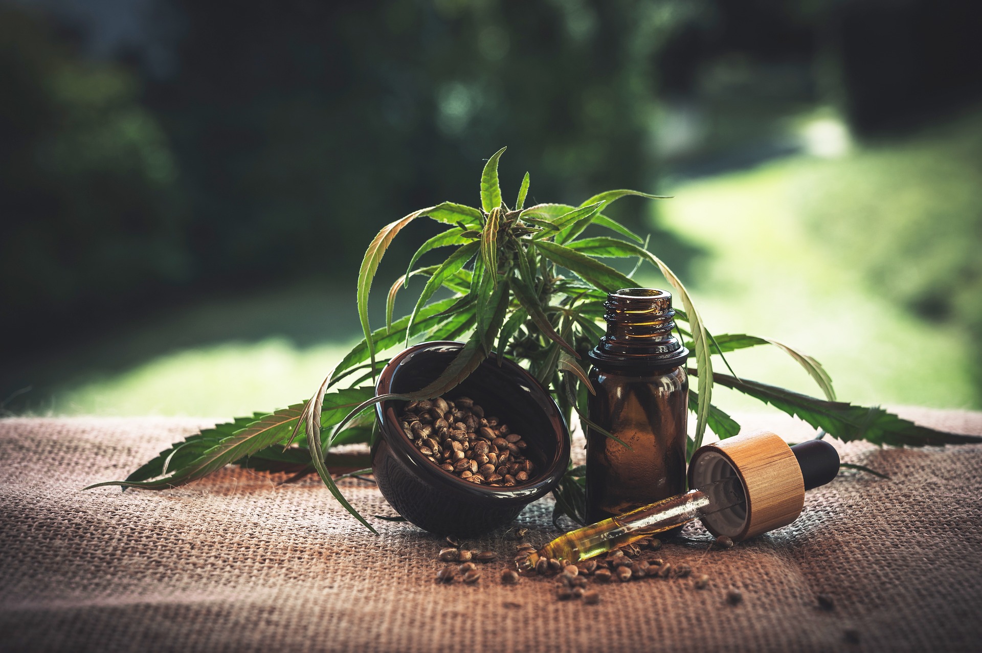 Important Factors to Consider When Buying CBD Hemp Oils